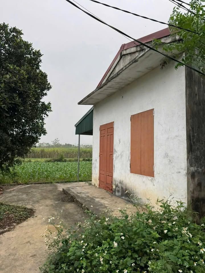 Đất nền Phú Nghĩa, Hòa Bình 2261m² giá 3 tỷ - View sông Bôi tuyệt đẹp!