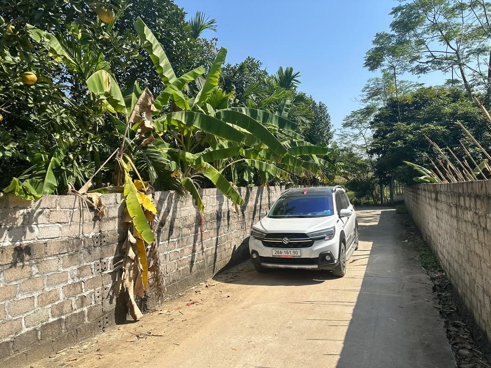 Đất thổ cư Lương Sơn Hòa Bình 100m² giá 420 triệu - Sổ đỏ chính chủ