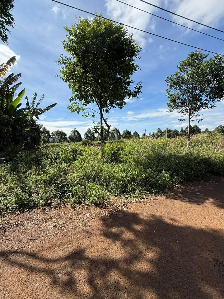 Đất thổ cư xã Dray, Cư Kuin 175m² giá 650 triệu - Cơ hội đầu tư tuyệt vời!