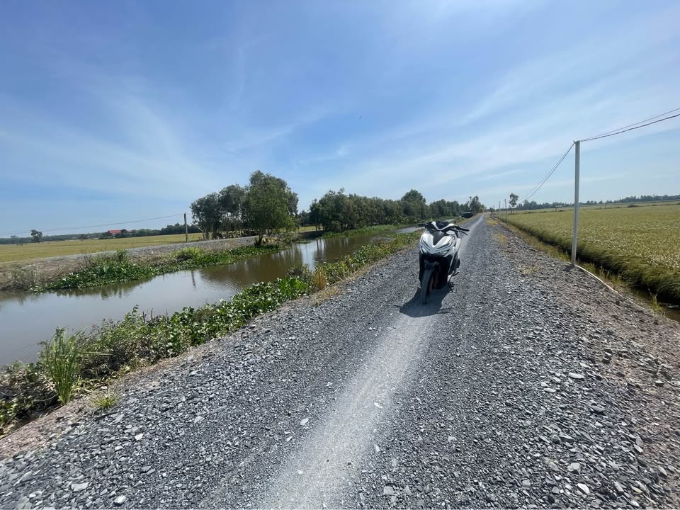 Đất lúa 3 công 4 (3400m²) tại Long Thuận, Thủ Thừa - Giá chỉ 1.296 tỷ!