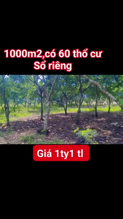 Đất nền 1000m² Phường Bình Lộc, Long Khánh chỉ 1.1 tỷ - Sổ riêng, công chứng ngay!