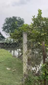 Farm nghỉ dưỡng Lương Nha, Phú Thọ 2130m² - View hồ tuyệt đẹp!