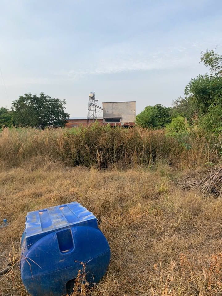 Đất nền ấp Tân An, xã Phước Tân, huyện Xuyên Mộc 130m² - Sổ đỏ chính chủ, giá chỉ 850 triệu!