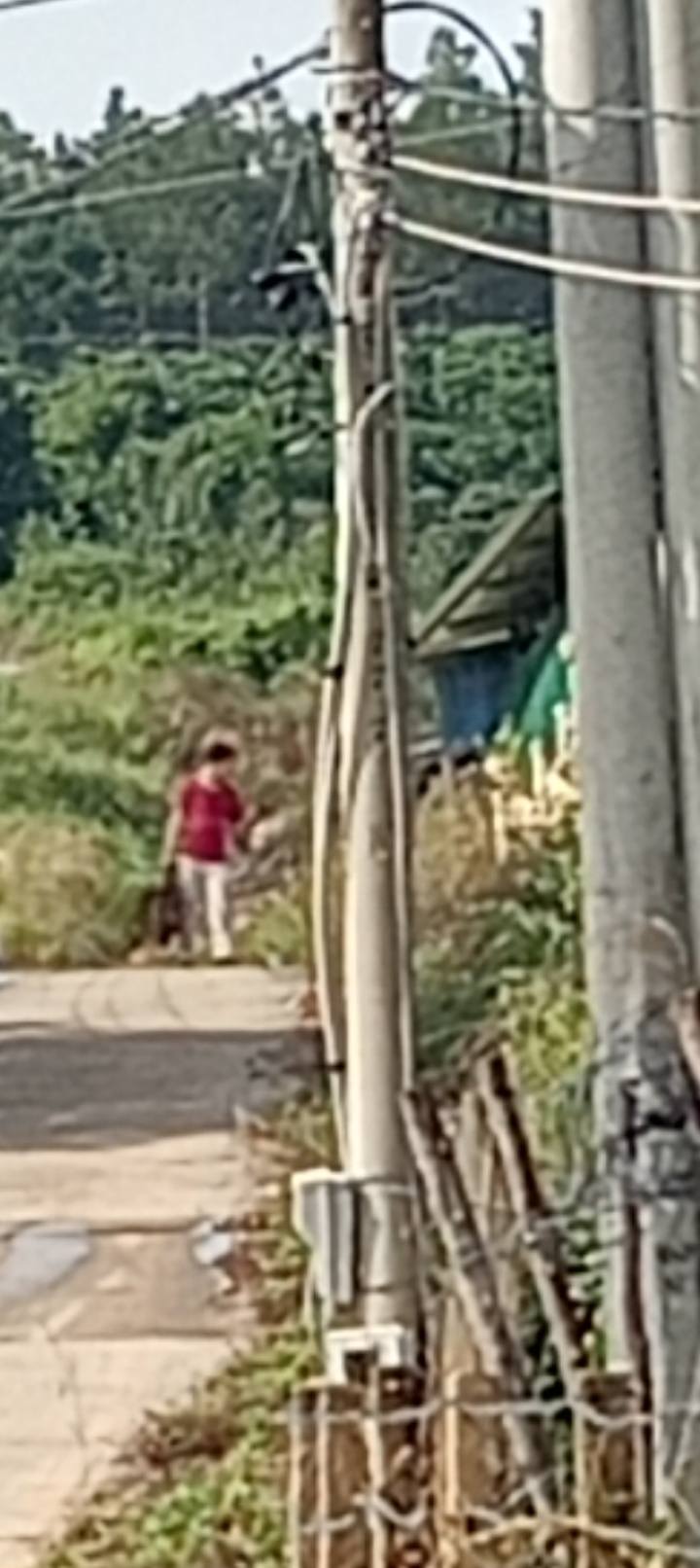 Đất nền 5,2 sào Tân Văn, Lâm Hà giá 4 tỷ - Pháp lý rõ ràng, đầu tư sinh lời!