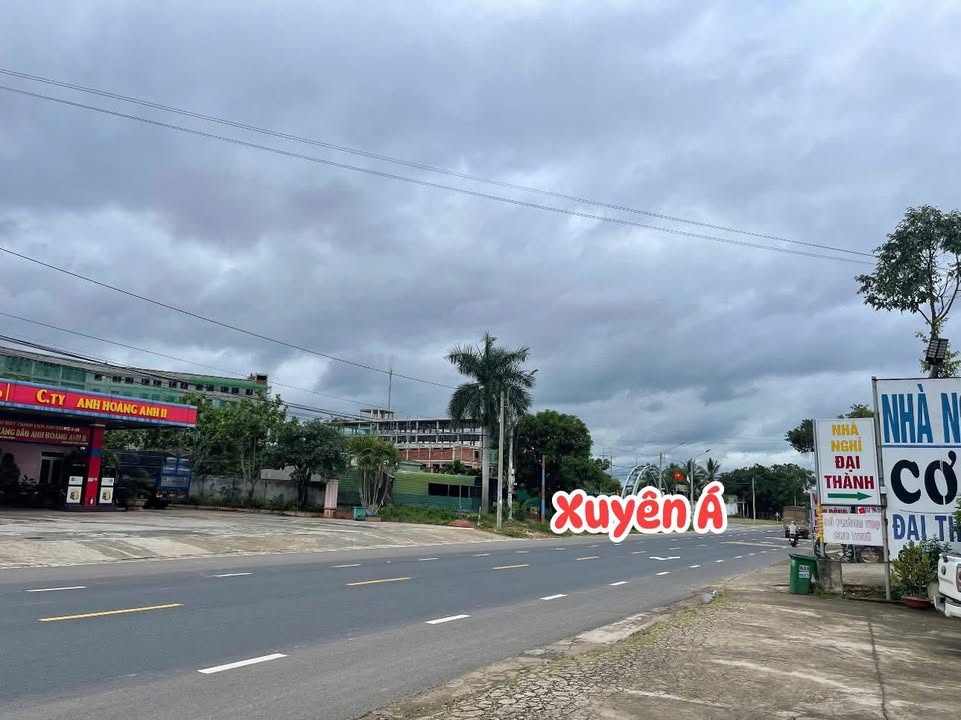 Đất nền Cư Jút Đắk Nông 1667.5m² giá 7.5 tỷ - Cam kết rẻ nhất khu!