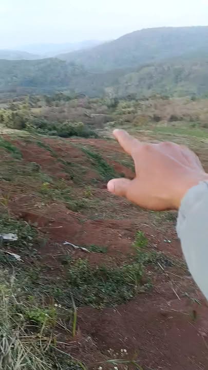 Đất nền 30.000m² tại Quảng Tâm, Tuy Đức - Giá 1.5 tỷ, cơ hội đầu tư hiếm có!