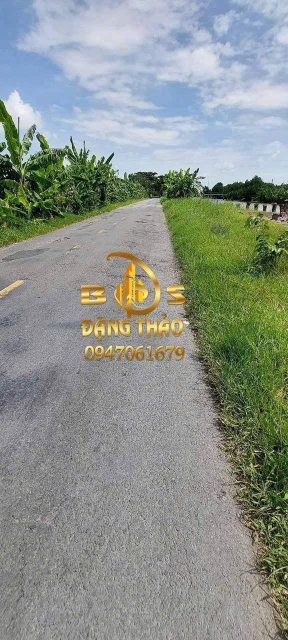 Đất mặt tiền lộ nhựa Trần Văn Thời, Cà Mau 2580m² giá 2.55 tỷ - Cơ hội đầu tư sinh lời!