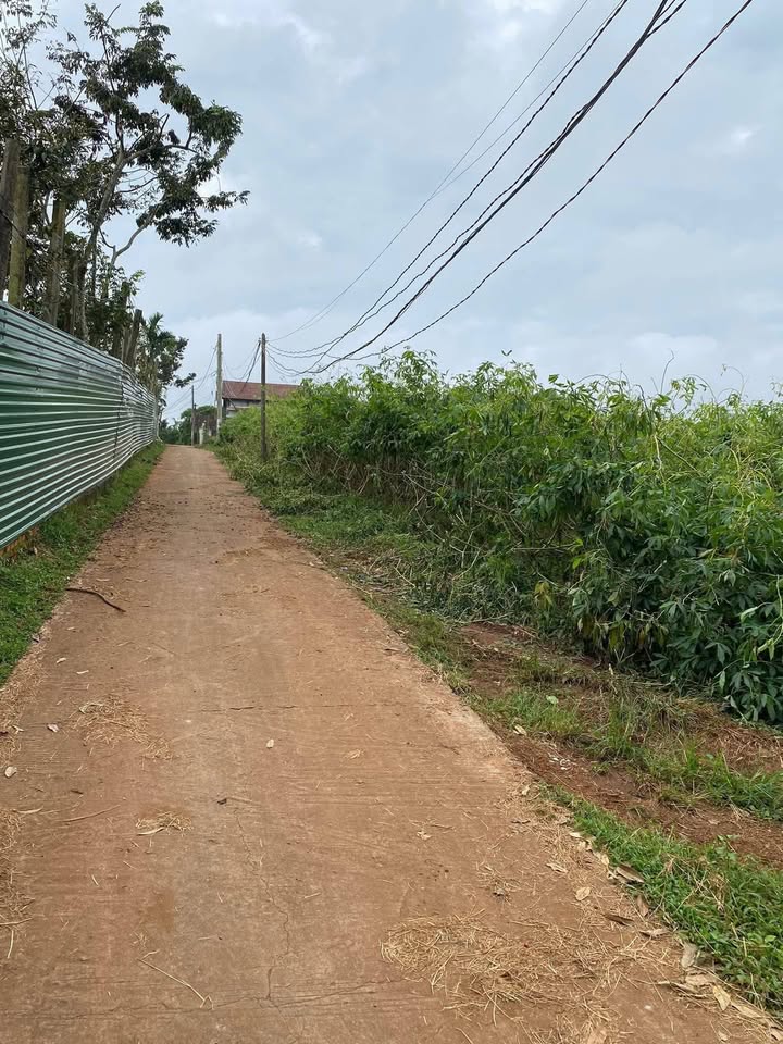 Đất thổ cư Pơng Drang 540m² giá 1.7 tỷ - Cách quốc lộ 600m!