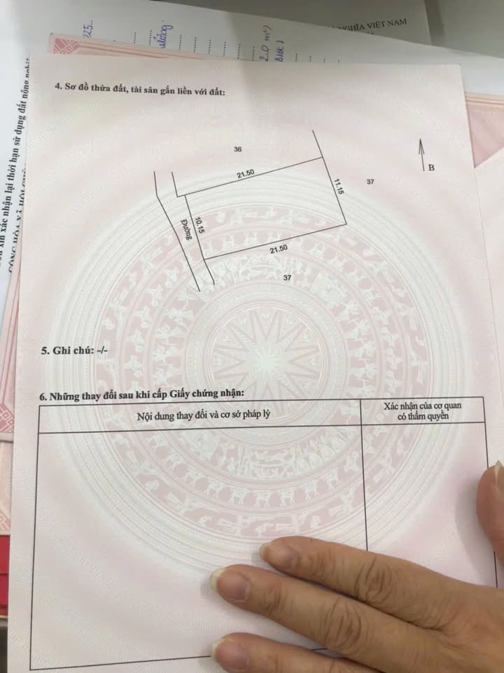 Bán đất ở Hoàng Trạch, Mễ Sở 228m² giá chỉ 3x triệu - Tiềm năng đầu tư lớn!