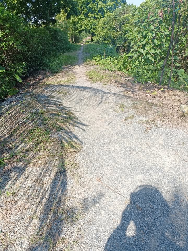 Đất nông nghiệp 5 sào tại Đại Hưng, Mỹ Đức - Tặng vườn cây ăn quả!