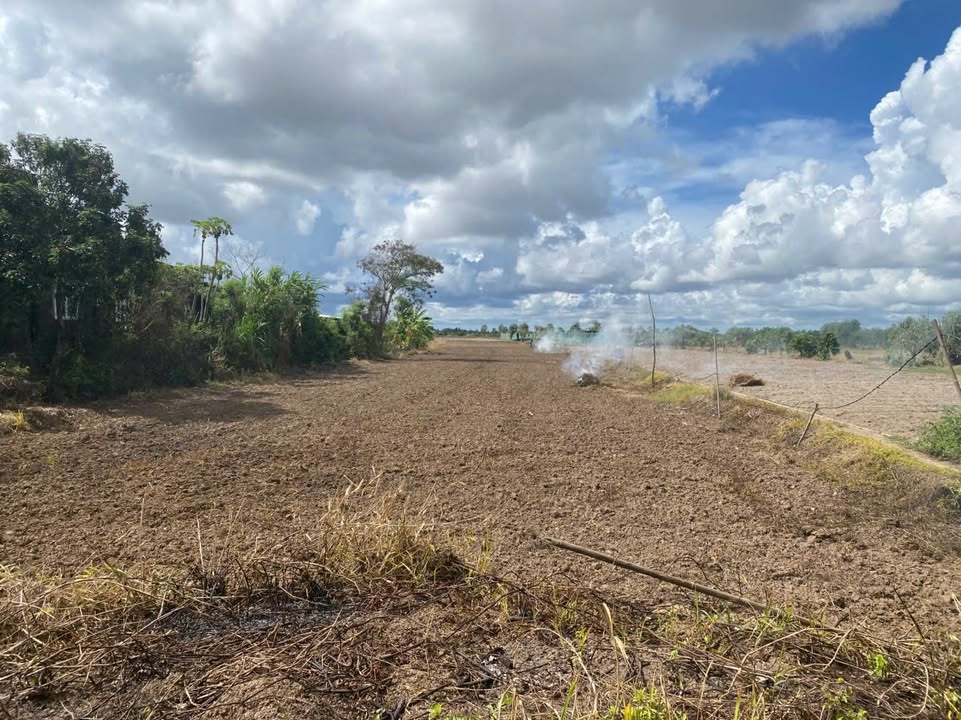 Đất nền xã Bình Nghị, Gò Công Đông 2850m² giá chỉ 820 triệu - Tiềm năng đầu tư lớn!