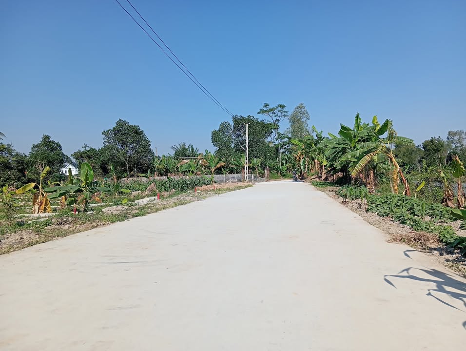 Đất nền Quảng Hợp 100m² giá chỉ 200 triệu - Cơ hội đầu tư sinh lời!