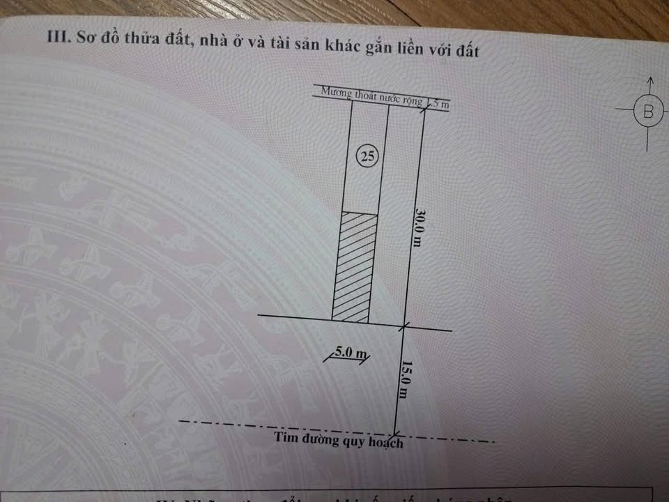 Đất nền 125m² hướng Nam tại Tri Hoà, Quảng Hòa chỉ 1.3 tỷ - Cơ hội đầu tư tuyệt vời!