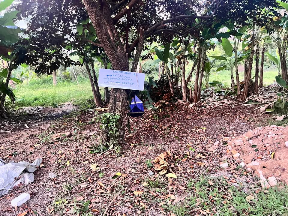 Đất vườn 2120.6m² tại Hà Tiên giá 2.5 tỷ - Cơ hội đầu tư lý tưởng!