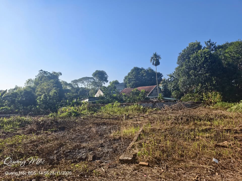 Đất nền Vân Phú Việt Trì 85m² giá 1 tỷ - Cơ hội đầu tư vàng!