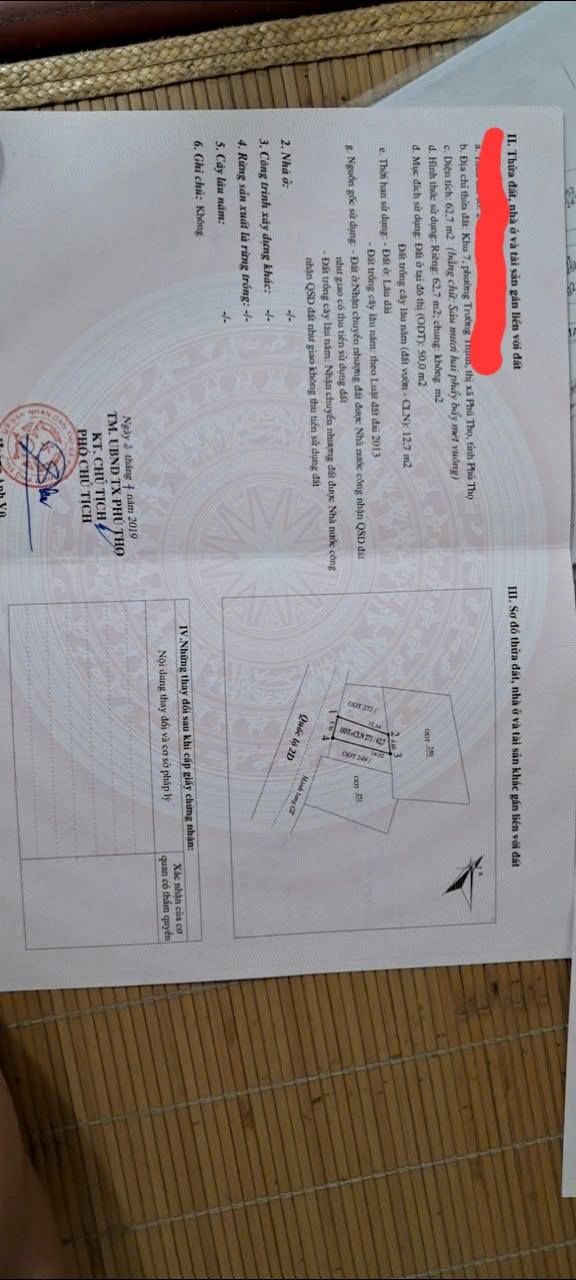 Nhà mặt tiền Phong Châu, Phú Thọ 150m² - Mở rộng kinh doanh dễ dàng!