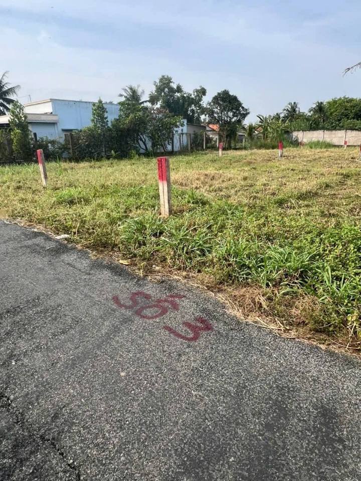 Đất mặt tiền đường nhựa Ấp Bình Hòa Đông, Gò Công Tây 220m² - Giá chỉ 360 triệu!