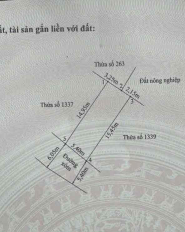 Đất thổ cư 80m² tại xã Thanh Lương, Vĩnh Bảo giá 600 triệu - Cơ hội đầu tư hấp dẫn!