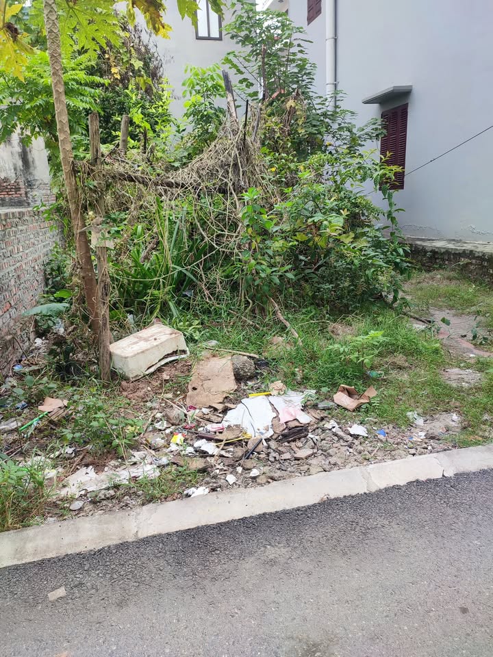 Đất Dương Hà Gia Lâm 54.5m² giá 3.8 tỷ - Ô tô đỗ cửa, mặt tiền rộng!