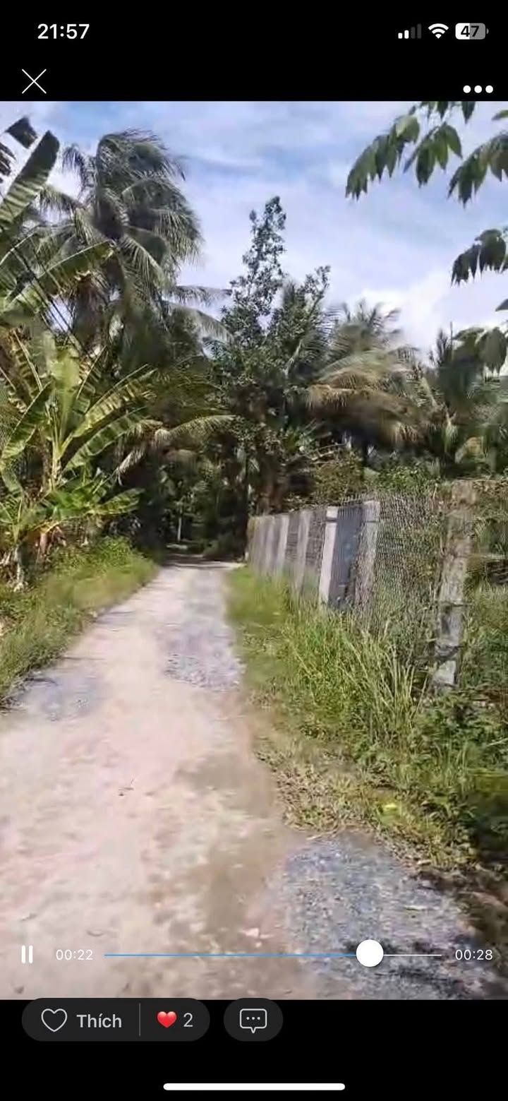 Đất nền Lương Hòa Trị, Giồng Trôm, 808m² giá 500 triệu - Cơ hội đầu tư hấp dẫn!