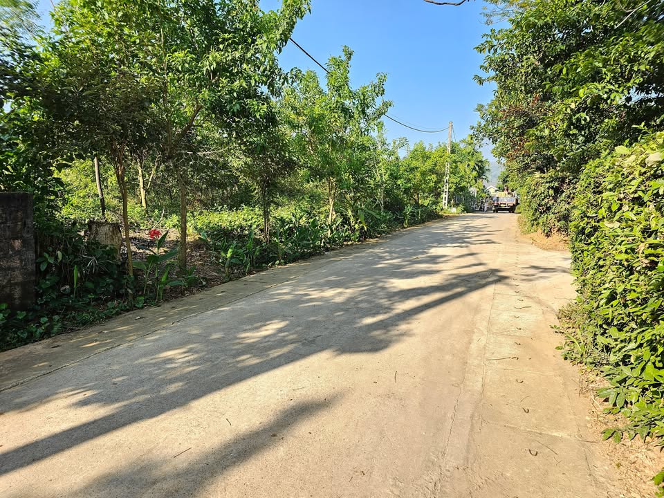 Đất nghỉ dưỡng Yên Bài 1810m² giá thỏa thuận - Cơ hội đầu tư hấp dẫn!