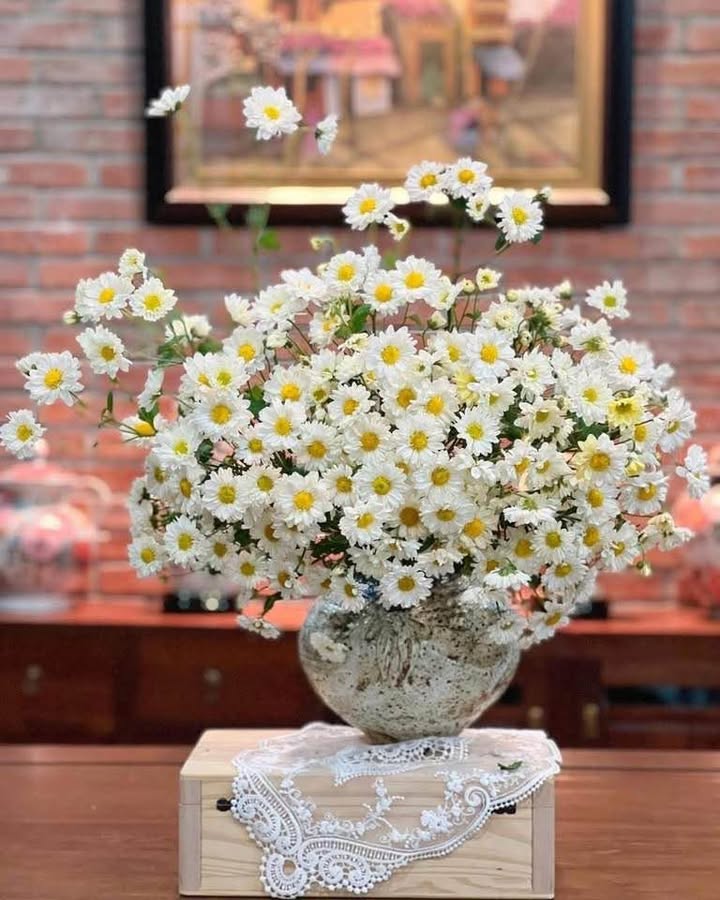 Đất Dịch Vụ An Khánh 41m² giá 9.6 tỷ - Đầu tư sinh lời ngay lập tức!