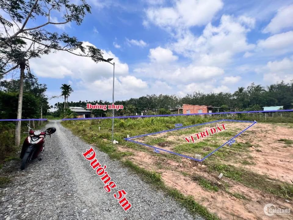 Đất nền Ninh Thạnh - Tây Ninh 140m² giá 300 triệu - Đầu tư lý tưởng!