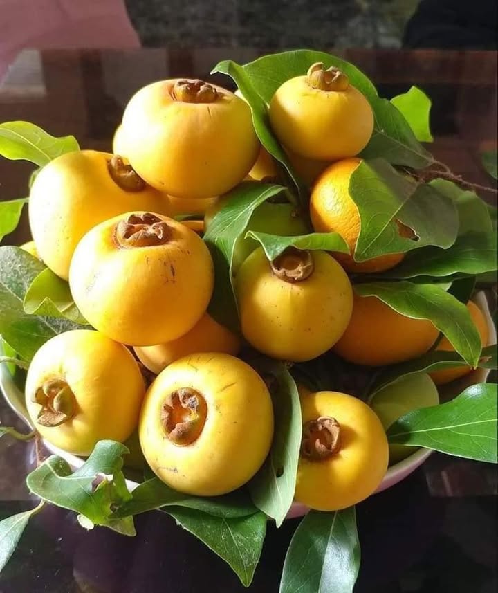 Đất mặt đường Đào Nhuận, Quán Nam, Lê Chân, Hải Phòng 90m² - Vị trí đẹp, giá tốt!