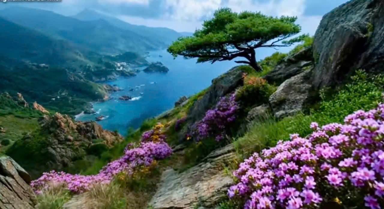 Đất phân lô Văn Cao, Hải Phòng 95m² giá 8.1 tỷ - Cơ hội đầu tư không thể bỏ lỡ!