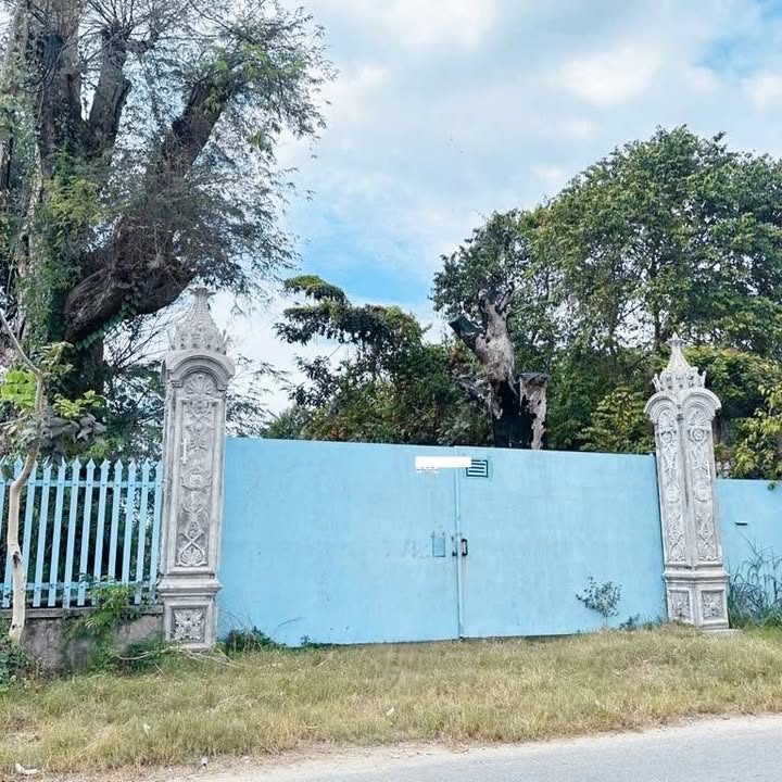 Đất mặt tiền Lê Minh Nhựt, Tân An Hội, Củ Chi 1452m² giá chỉ 12 tỷ - Cơ hội vàng cho đầu tư!