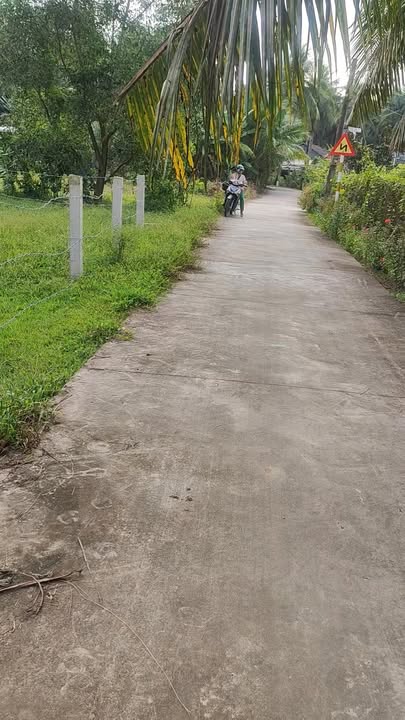 Đất thổ cư ấp Thạnh Thới, Gò Công Tây 252m² giá 310 triệu - Đã có sổ hồng chính chủ!