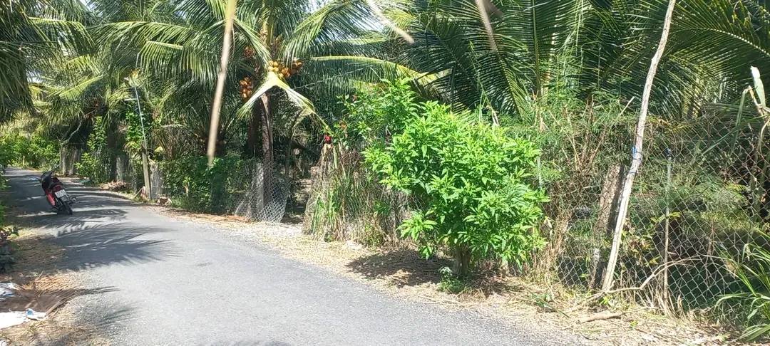 Đất mặt tiền nhựa ấp Đăng Nẫm 1001m² giá 1.65 tỷ - Đầu tư sinh lời ngay!