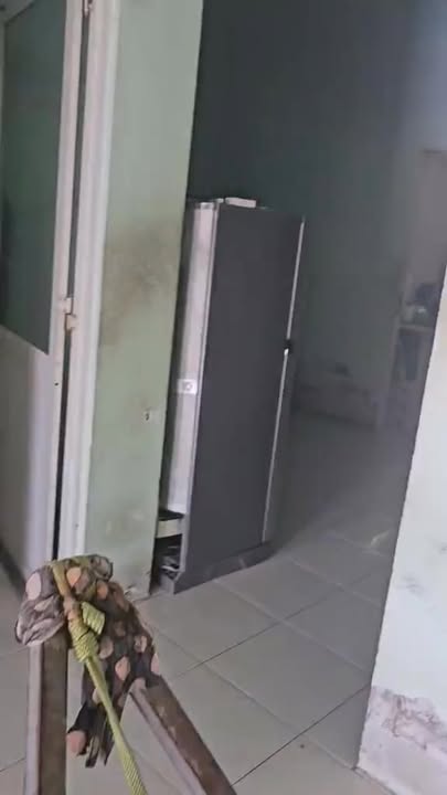 Đất và Nhà Mặt Tiền Mỹ Thành Nam 990m² giá 2 tỷ - Thích hợp nghỉ dưỡng!