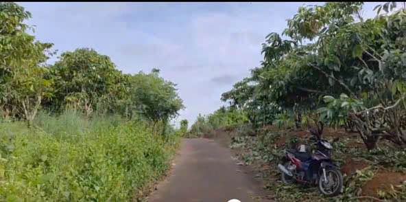 Đất nền 3200m² tại hẻm 89 Phùng Hưng, Lộc Tiến, Bảo Lộc - Giá chỉ 2.5 tỷ!