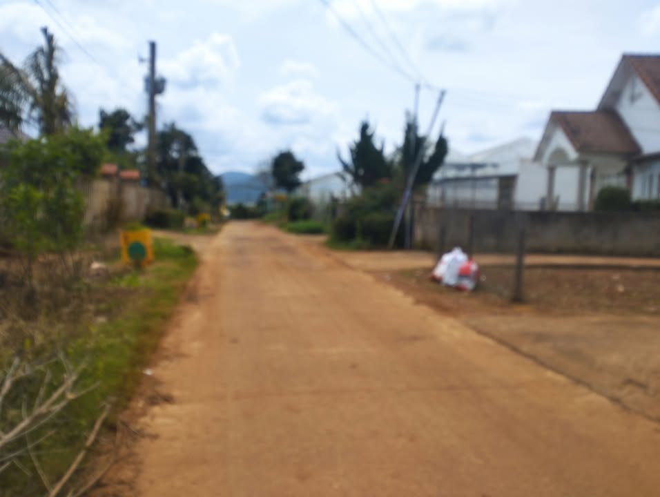 Đất nền 640m² tại Quảng Lập, Đơn Dương, Lâm Đồng - Giá chỉ 1.5 tỷ, pháp lý rõ ràng!