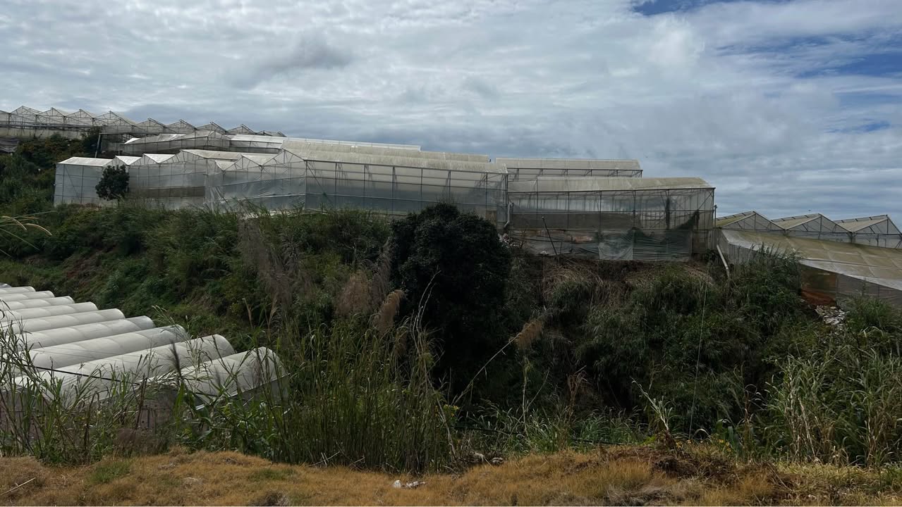 Đất mặt tiền Đường Kim Thạch, Đà Lạt 800m² giá 3.5 tỷ - Đầu tư lý tưởng!