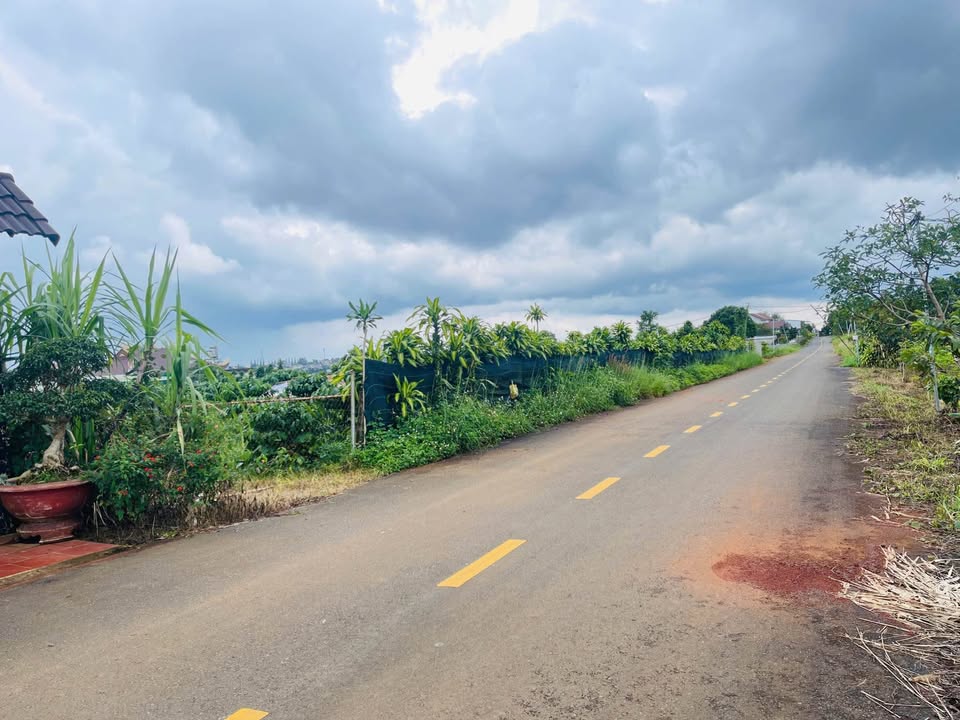 Đất nền mặt tiền đường Nguyễn Trãi, Bảo Lộc 1000m² giá 6 tỷ - Cơ hội đầu tư tuyệt vời!