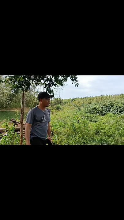 Đất nền thôn 10, xã Nâm N'Jang, Đắk Song 12.000m² giá 1.55 tỷ - Đầu tư sinh lời hấp dẫn!