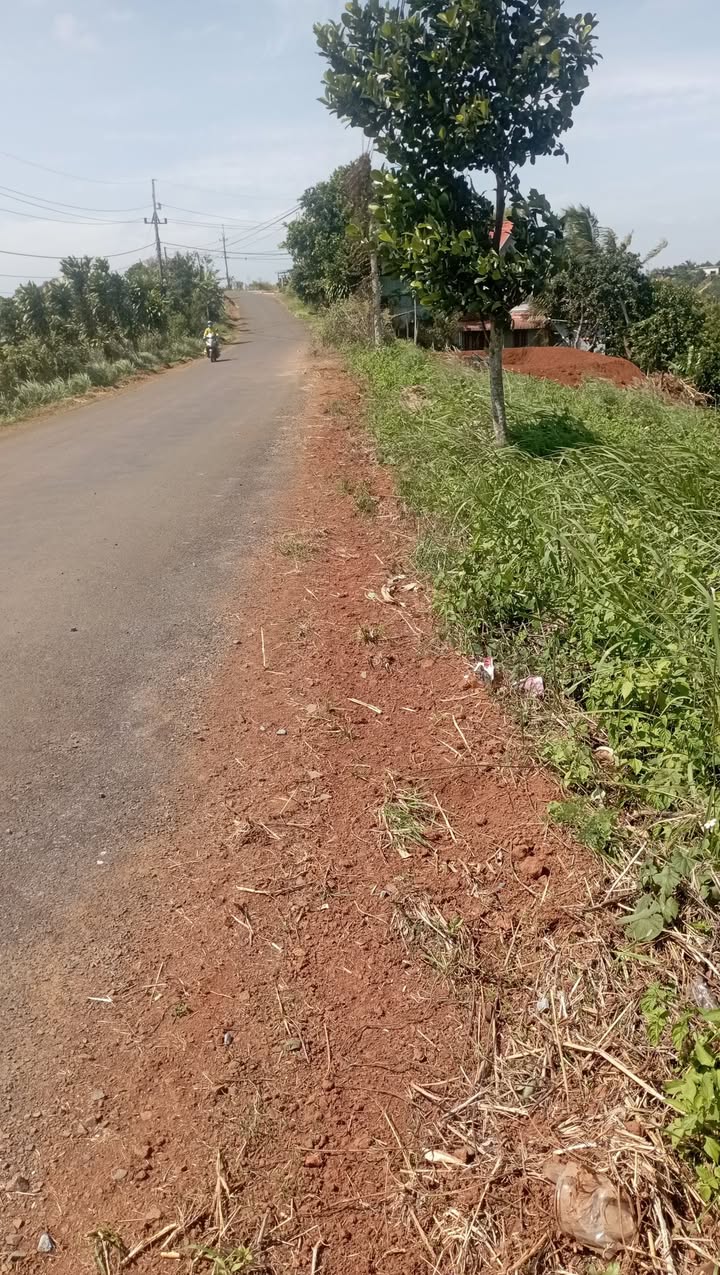 Đất nền 2100m² thôn Đồng Tiến, Gia Nghĩa, Đắk Nông chỉ 800 triệu - Đầu tư sinh lời ngay!