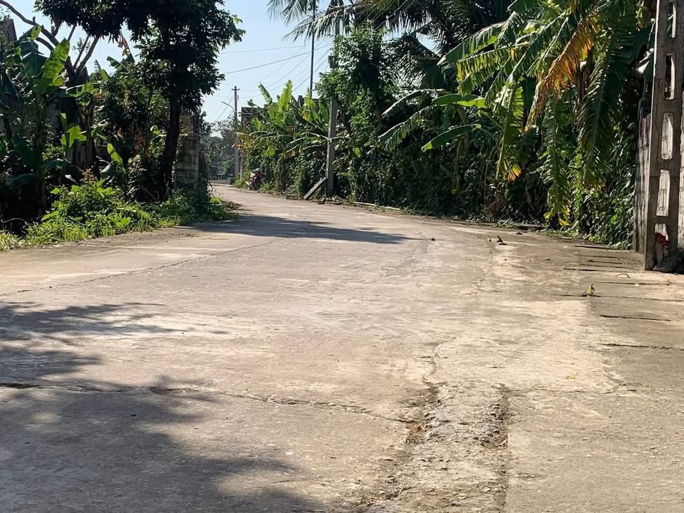 Đất thổ cư Thôn Thổ Bắc, xã Thắng Lợi, 247m² giá 699 triệu - Cơ hội đầu tư tuyệt vời!