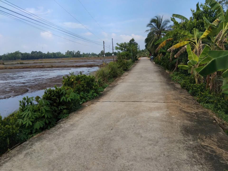 Đất nền chính chủ Vĩnh An, Hồng Dân - 2640m² giá 118.8 tỷ - Đầu tư sinh lời ngay!