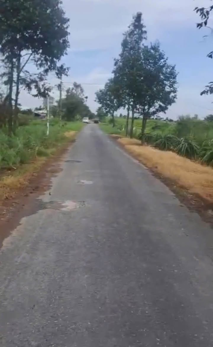 Đất lúa mặt tiền đường Vành Đai Tầm Vu, 698m² giá 799 triệu - Sổ hồng đầy đủ!