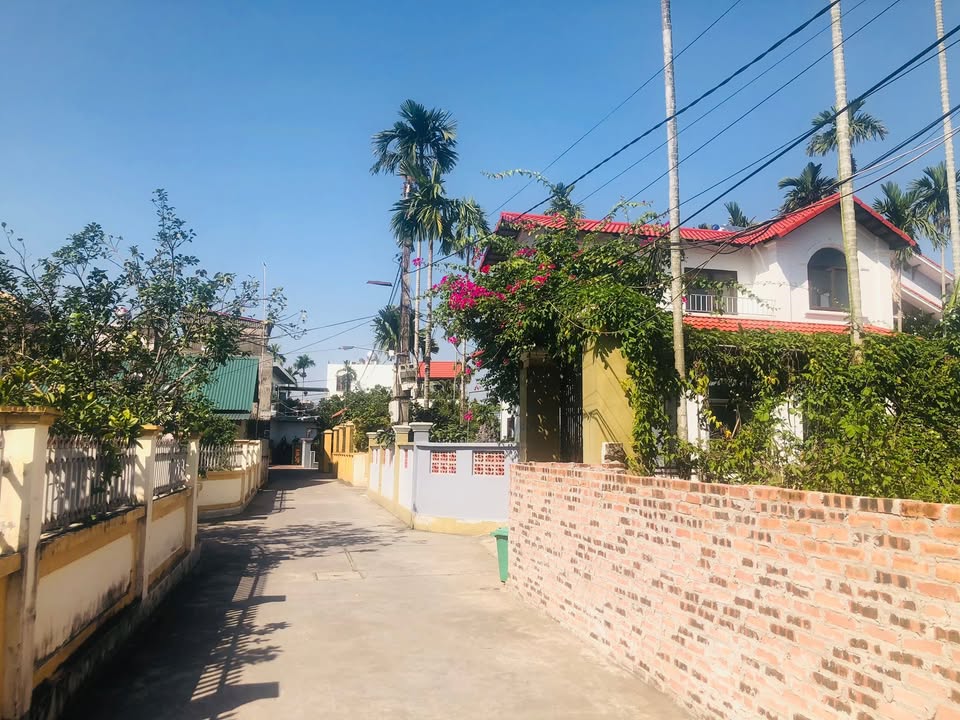 Đất nền Tứ Kỳ Hải Dương 200m² giá 3 tỷ - Tiềm năng chia lô cực đẹp!