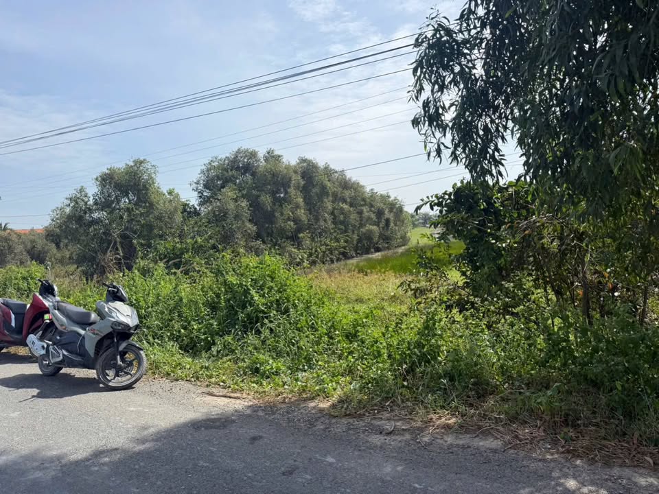 Đất thổ cư đường 823, Đức Hòa 336m² giá 1.85 tỷ - Sổ hồng riêng, mặt tiền đường nhựa