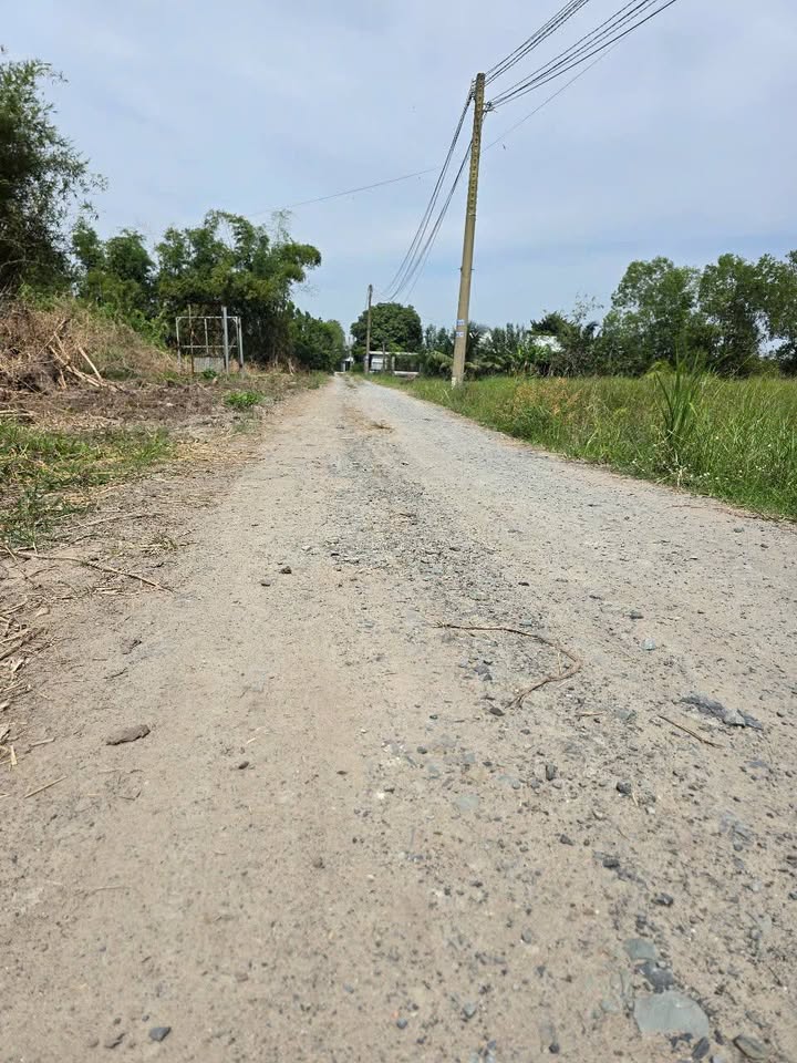 Đất thổ cư 105m² Hòa Khánh Đông, Đức Hòa - Giá chỉ 590 triệu, sổ đỏ chính chủ!