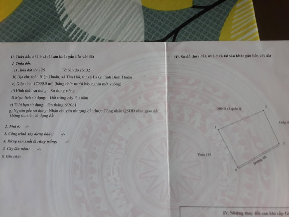 Đất trồng cây lâu năm 1ha tại Tân Hải La Gi chỉ 90 triệu - Đầu tư sinh lời ngay!