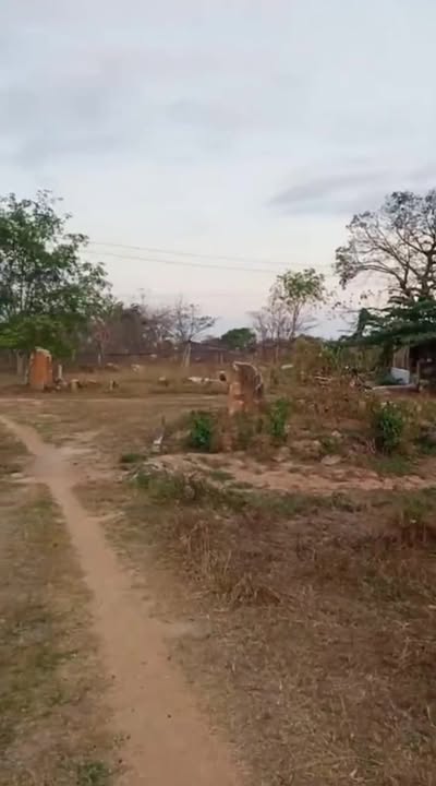 Đất nền nông nghiệp 72,000m² tại xã Thuận Minh, Bình Thuận - Đầu tư sinh lời ngay!