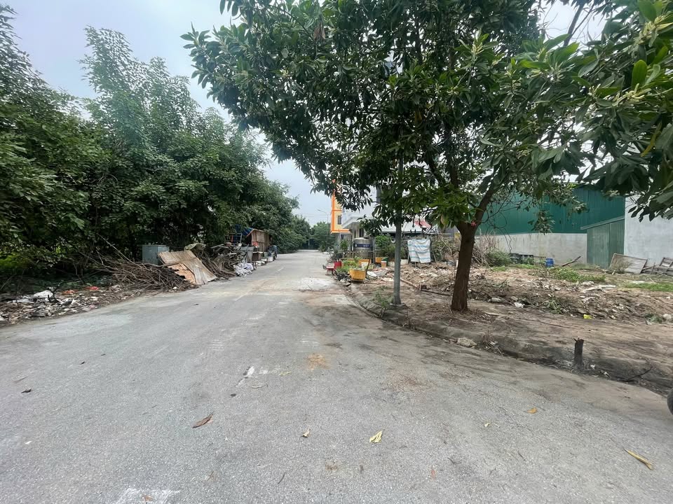 Đất nền tái định cư Phương Nhị, Thanh Trì, 30m² giá chỉ 7.3 tỷ - Sổ đỏ chính chủ!