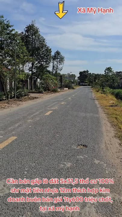 Đất thổ cư 157m² tại xã Mỹ Hạnh, Đức Hòa giá 1.6 tỷ - Mặt tiền nhựa rộng rãi!