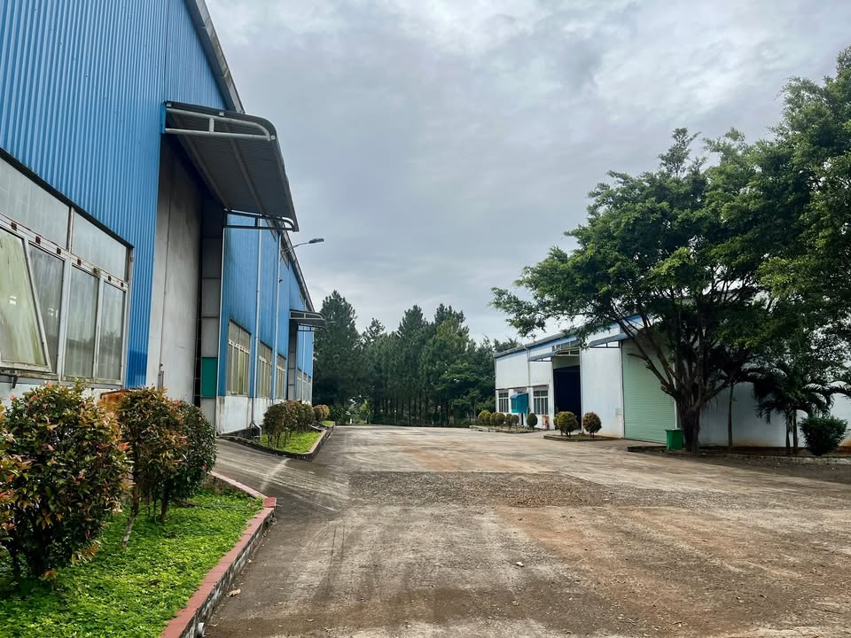 Cho thuê kho xưởng 1900m² tại KCN Diên Phú, Pleiku - Hệ thống PCCC đầy đủ!